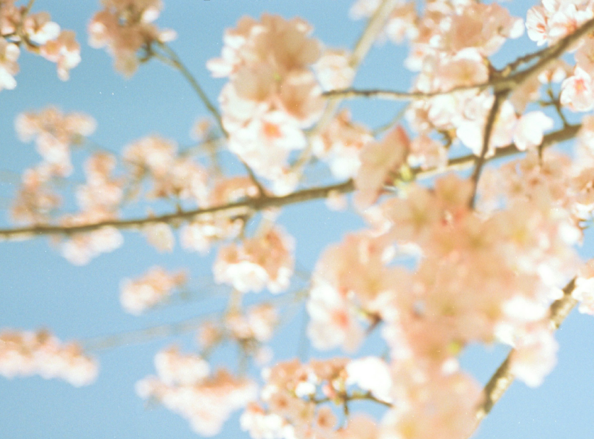 [INNOCEAN HQ] March Monthly Picks