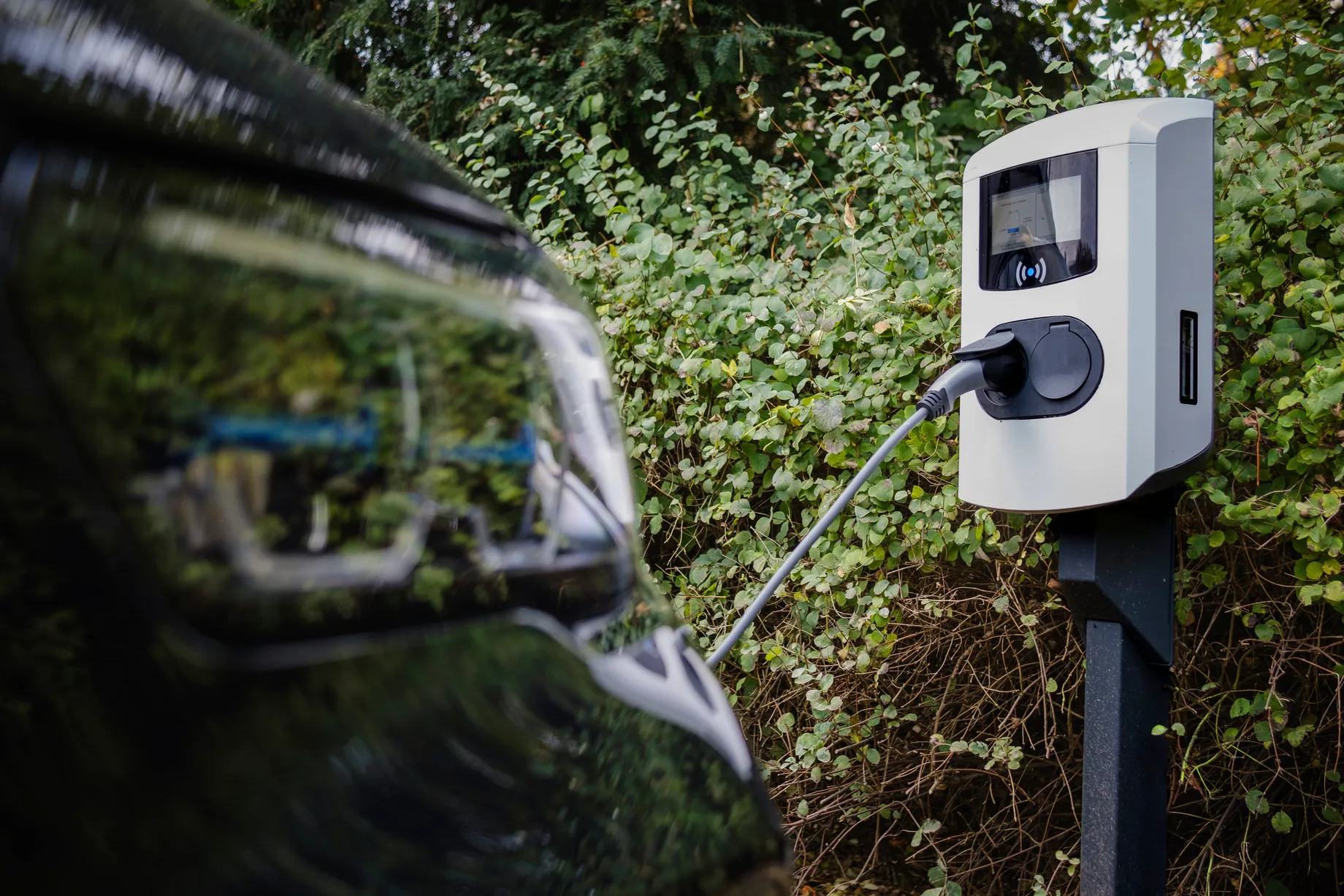 Electric momentum: a market coming into its own